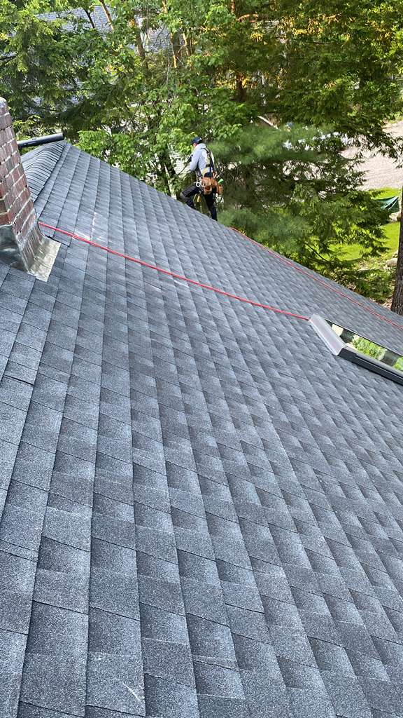 roof shingle granule loss
